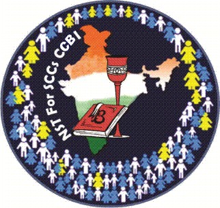 NST emblem